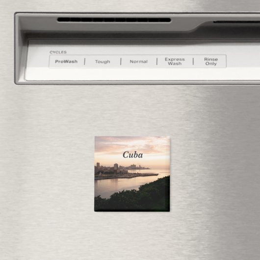 Cubaanse Cityscape Magneet (Insitu (Vaatwasser))