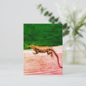 Cubaanse staarthagedis in Florida Briefkaart (Staand voorkant)