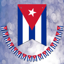 Cubaanse vlag en Cubaanse banners