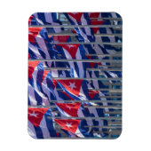 Cubaanse vlaggen, Havana, Cuba Magneet (Verticaal)