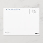 Cuban Bee Hummingbird Briefkaart (Achterkant)