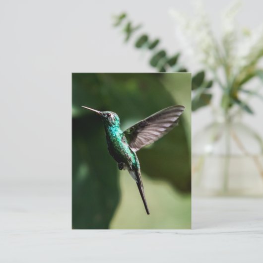 Cuban Emerald Hummingbird Flying Briefkaart (Staand voorkant)