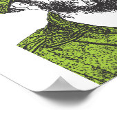 Cuban Evergreen Poster (Hoek)