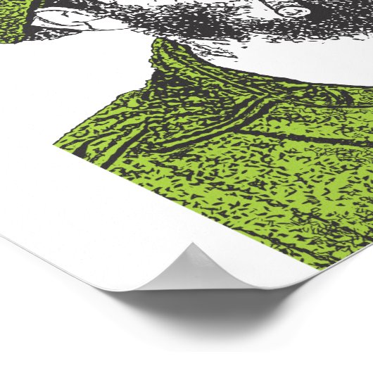 Cuban Evergreen Poster (Hoek)