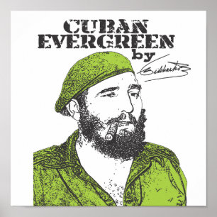 Cuban Evergreen Poster