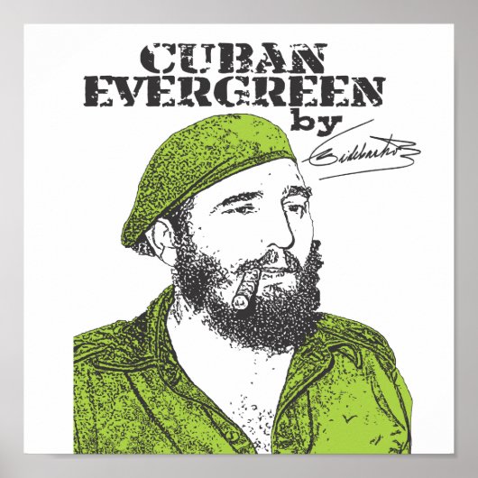 Cuban Evergreen Poster (Voorkant)