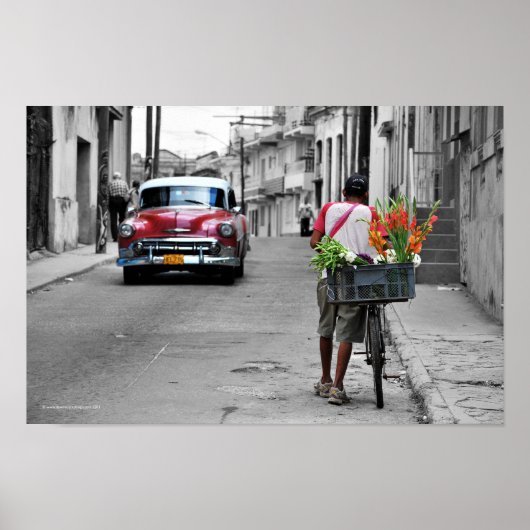 Cuban Florist Poster (Voorkant)