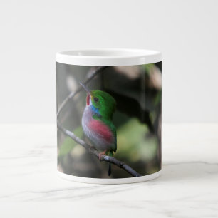 Cuban Tody Grote Koffiekop