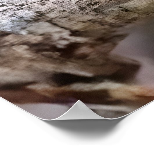 Cuban tody poster (Hoek)