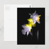 Cubist Daffodils Briefkaart (Voorkant / Achterkant)