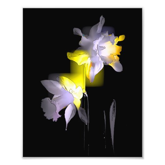 Cubist Daffodils Foto Afdruk (Voorkant)