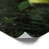 Cubistische Roos Poster (Hoek)