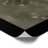 Cubs Sox Series Photo 1906 Poster (Hoek)