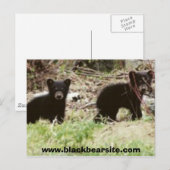 cubs, www.blackbearsite.com briefkaart (Voorkant / Achterkant)