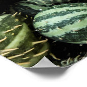 cucamelon, vers poster (Hoek)