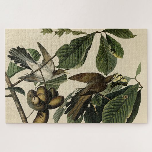 Cuckoo - Amerikaanse vogels Legpuzzel (Horizontaal)