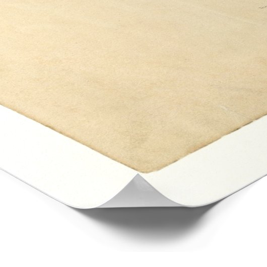 Cuckoo_Audubon met geelbuik Poster (Hoek)