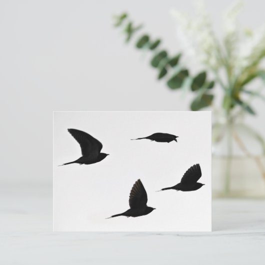 Cuckoo-briefkaart Briefkaart (Staand voorkant)