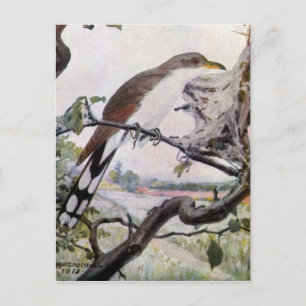 Cuckoo en Tent Caterpilars met geelbuik Briefkaart