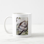 Cuckoo en Tent Caterpilars met geelbuik Koffiemok (Links)