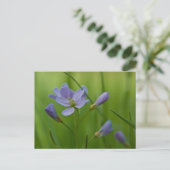 Cuckoo Flower Briefkaart (Staand voorkant)