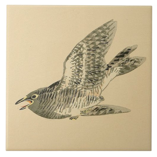 Cuckoo (Japanse kunst) (van Kono Bairei) Tegeltje (Voorkant)