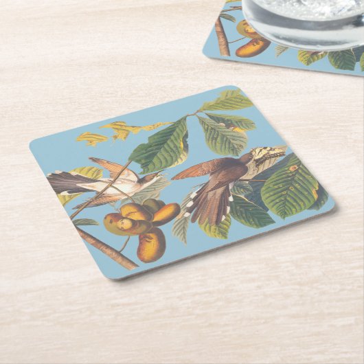 Cuckoo Kartonnen Onderzetters (Schuin)