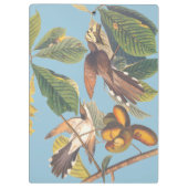 Cuckoo Klembord (Achterkant)