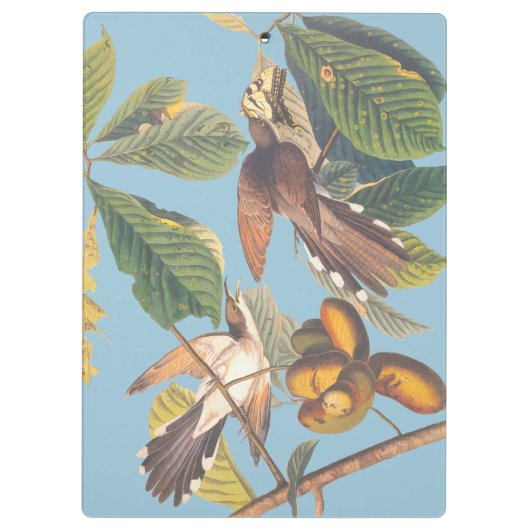 Cuckoo Klembord (Achterkant)