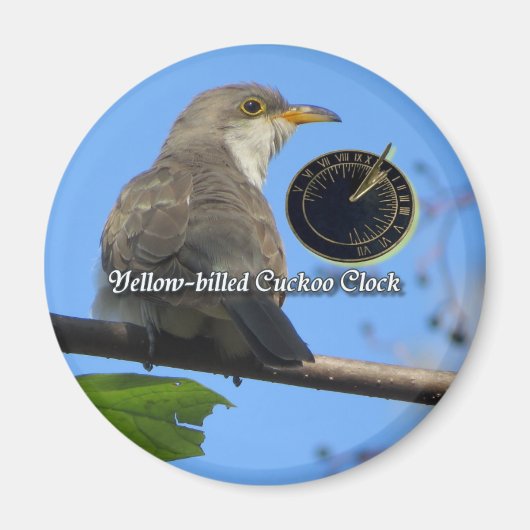 Cuckoo magnet met gele kieuwen (Voorkant)