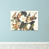 Cuckoo met zwarte buik op Magnolia Grandiflora, 18 Canvas Afdruk (Insitu (Houten vloer))