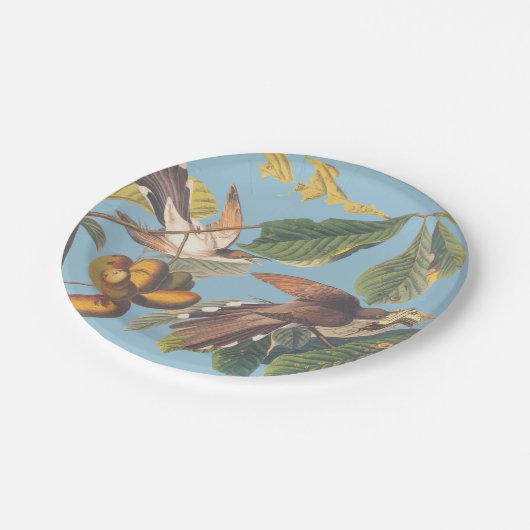 Cuckoo Papieren Bordje (Gekanteld)