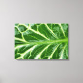 Cuckoo Pint Plant Canvas Afdruk (Voorkant)