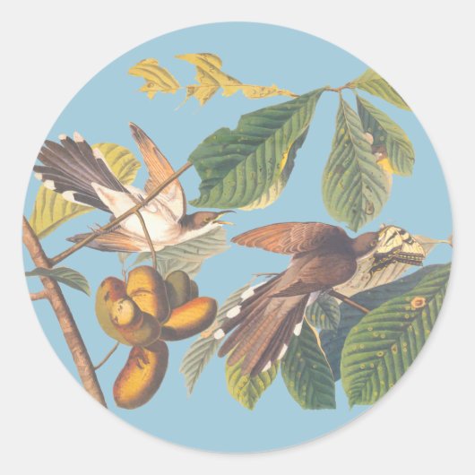 Cuckoo Ronde Sticker (Voorkant)
