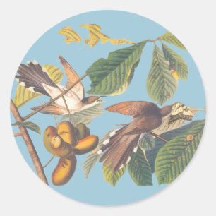 Cuckoo Ronde Sticker