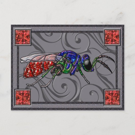 Cuckoo Wasp Collector Kaart (Voorkant)