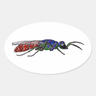 Cuckoo Wasp Ovale Sticker