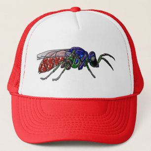 Cuckoo Wasp Trucker Pet