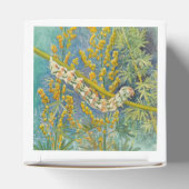 Cucullia Absinthii Wormwood Cateronder Bedankdoosjes (Bovenkant)