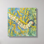 Cucullia Absinthii Wormwood Cateronder Canvas Afdruk (Voorkant)