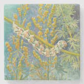 Cucullia Absinthii Wormwood Cateronder Stenen Onderzetter (Voorkant)