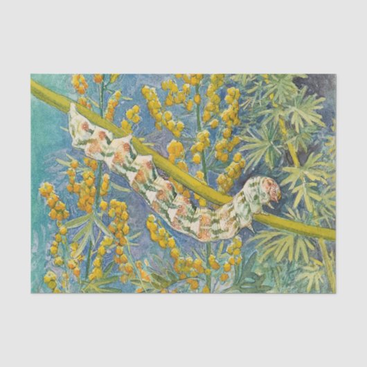 Cucullia Absinthii Wormwood Cateronder Tissuepapier (Voorkant)