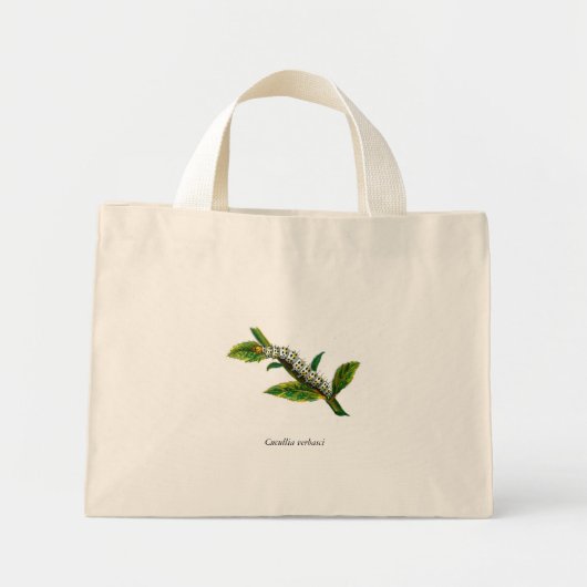 Cucullia verbasci mini tote bag (Voorkant)