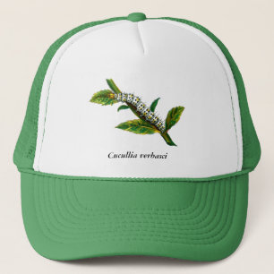 Cucullia verbasci trucker pet