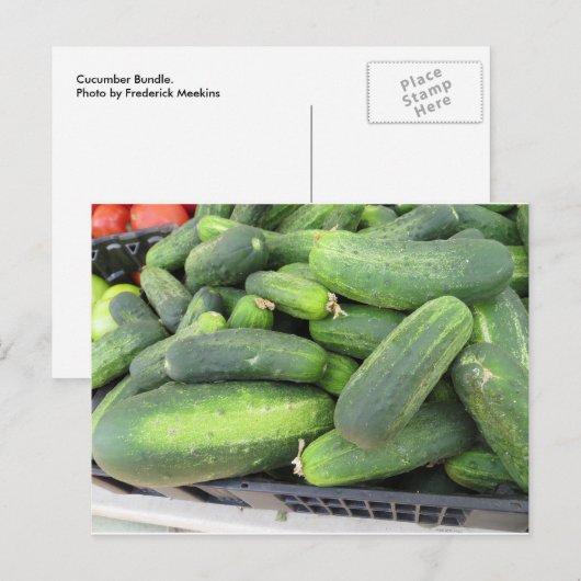 Cucumber Bundle Briefkaart (Voorkant / Achterkant)