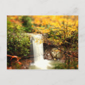 Cucumber Herfsten kleurt Briefkaart (Voorkant)