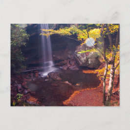 Cucumber Herfsten, Ohiopyle State Park, Pennsylvan Briefkaart