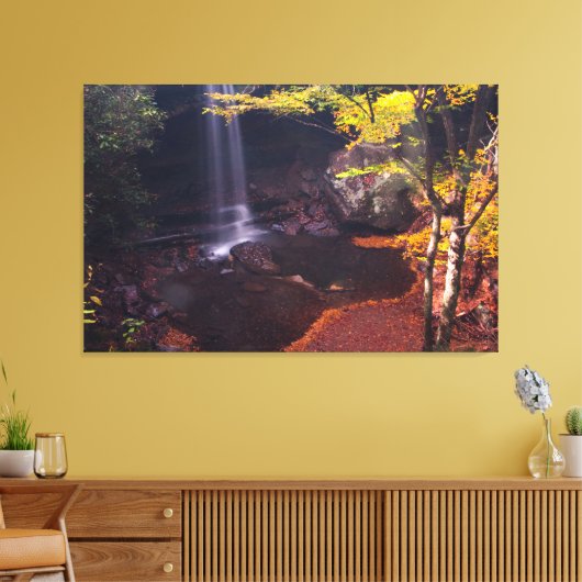 Cucumber Herfsten, Ohiopyle State Park, Pennsylvan Canvas Afdruk (Insitu (Woonkamer))