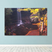 Cucumber Herfsten, Ohiopyle State Park, Pennsylvan Canvas Afdruk (Insitu (Houten vloer))