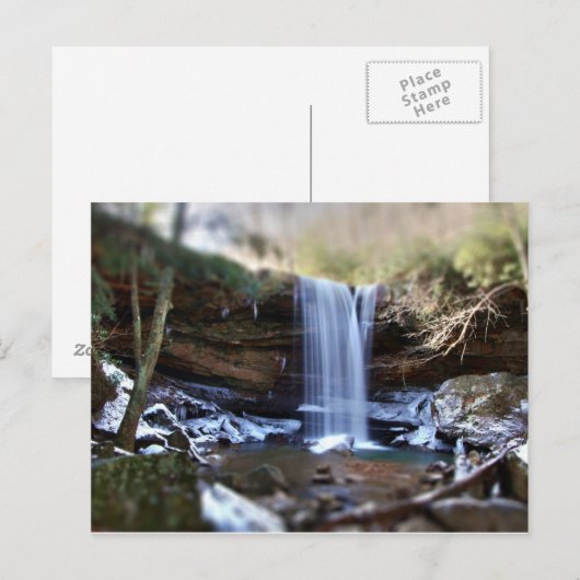 Cucumber-Herfsten - Winter Briefkaart (Voorkant / Achterkant)